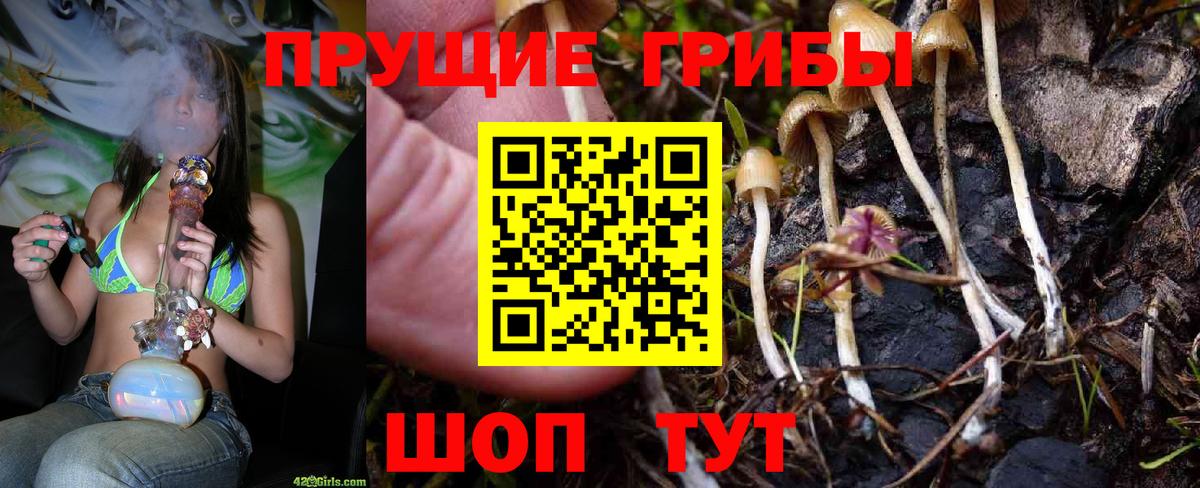 Елец  Псилоцибиновые грибы MAGIC MUSHROOMS  Вход с VPN  Галлюциногенные грибы Magic Shrooms 